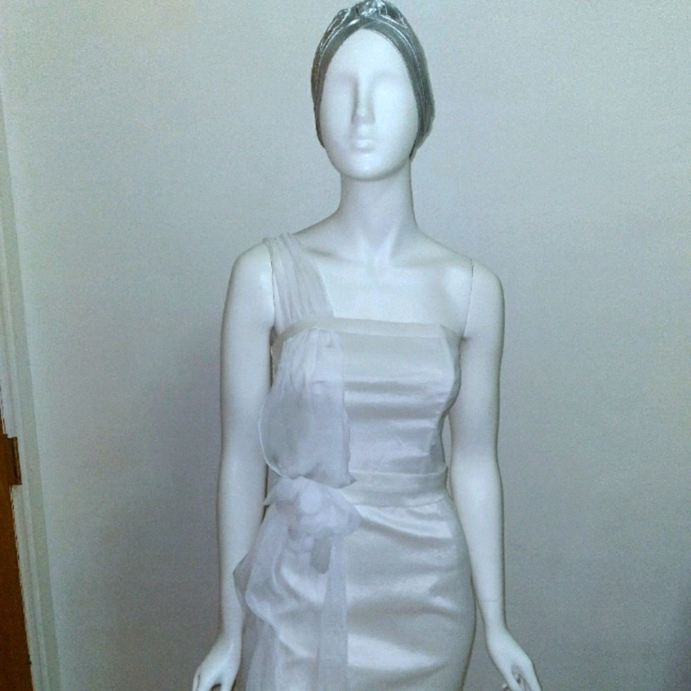 SEXY and ROMANTIC JESSICA MCCLINTOCK DRESS